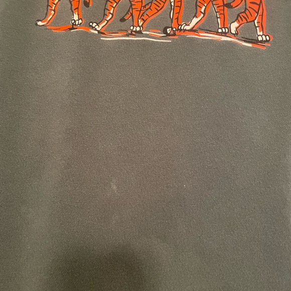 Green Sweatshirt with Tiger Graphic - Picture 6 of 6